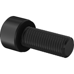 A4 with O-Ring Sealing Socket Head Screw M8 x 1.25 mm Thread size, 20mm Long图4